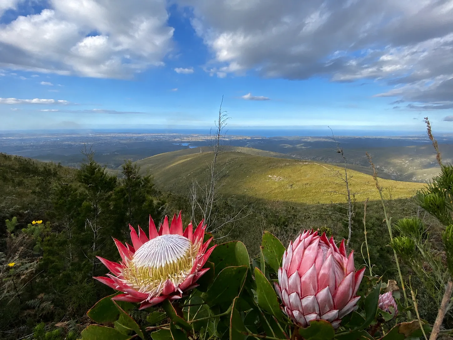 Dutch course tailored for Afrikaans speakers at Baay
