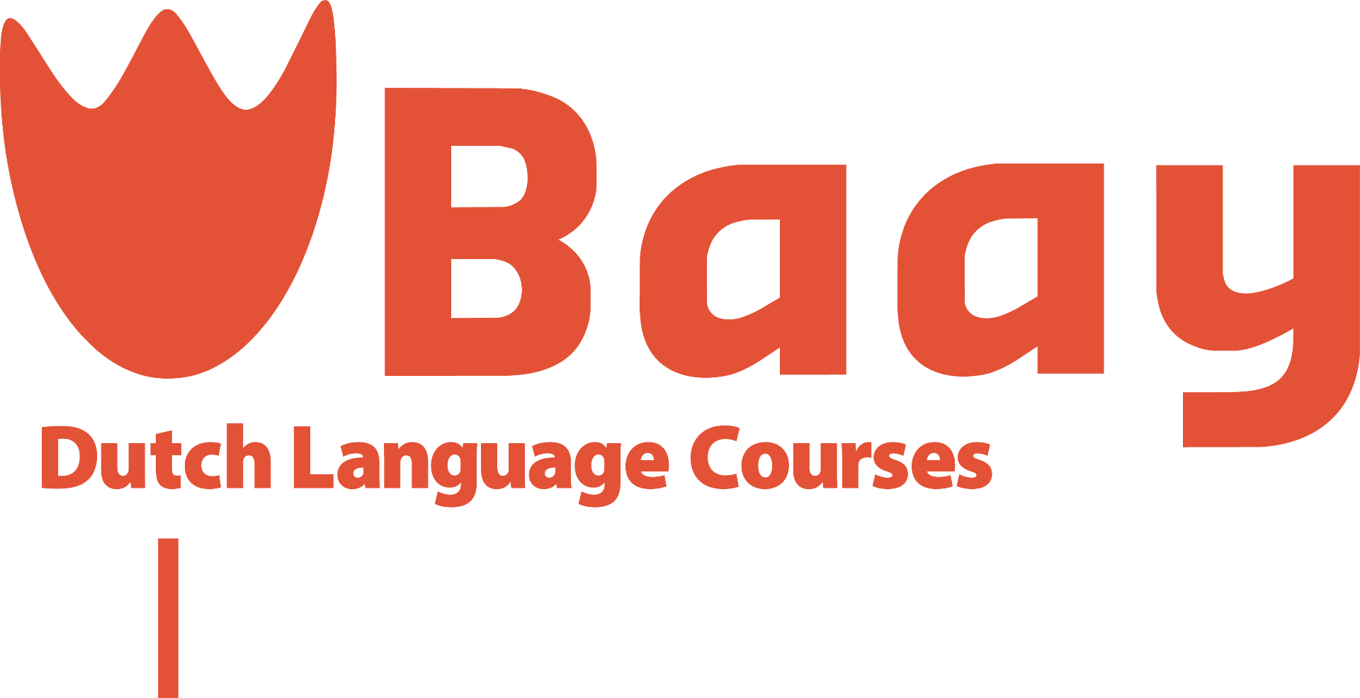 Baay Dutch Language Courses
